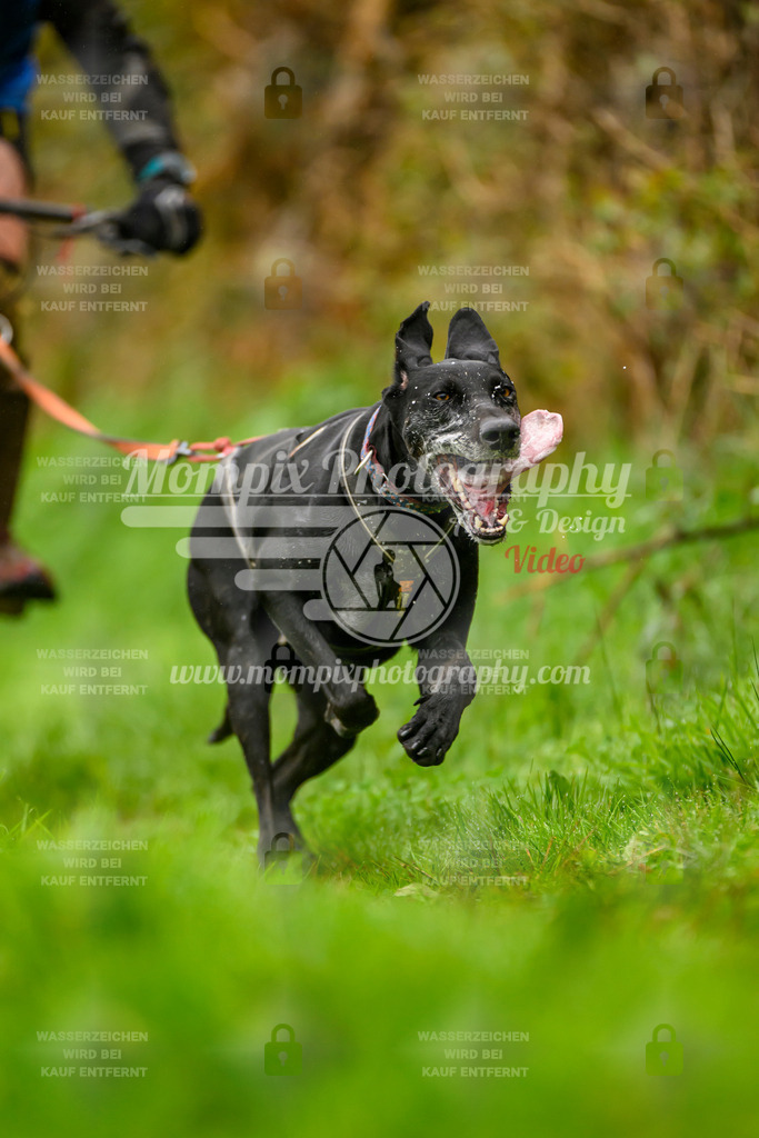 MompixPhotography_20TSB_E8_Bike-71 | PayLife
