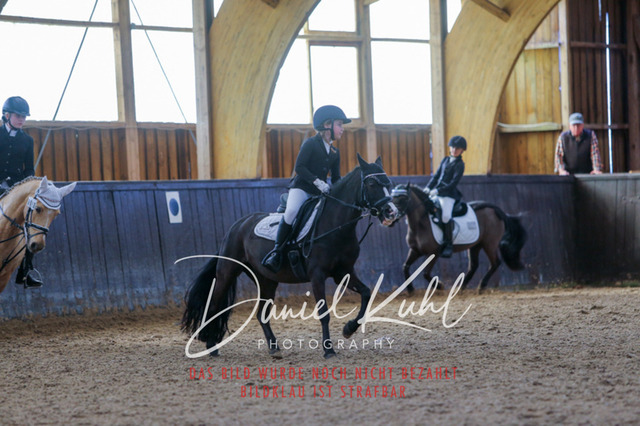 IMG_1208 | Turniersportfotografie; Pferdefotografie; Dressurfotografie