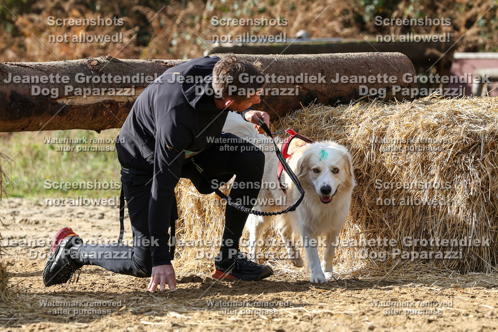 Dog Paparazzi - Strongdog 10-25-5552 | Dog Paparazzi Jeanette Grottendiek Fotografie & Videografie - Realisiert mit Pictrs.com