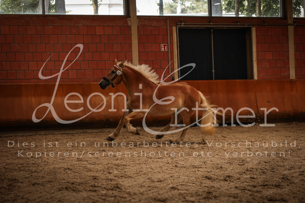 SaFL00212 | Leoni Ertmer Photography - Realisiert mit Pictrs.com