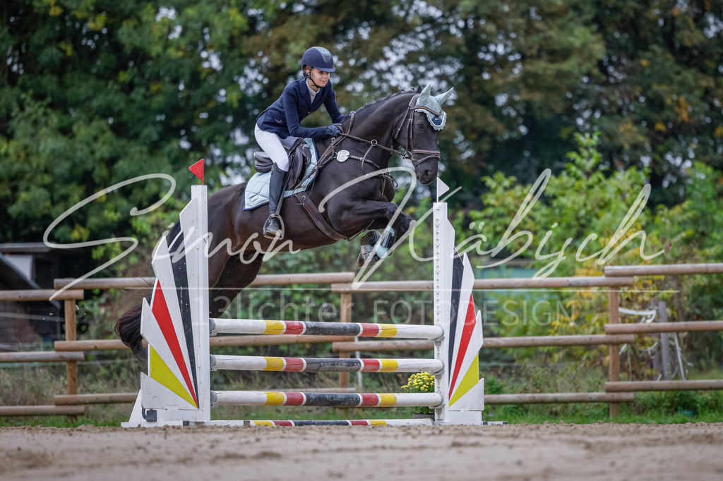 20251012-_3LI3285 | Tierfotografie Pferde, Hunde, Katzen, Haustiere.
Turnierfotografie Reitturniere, Reiten, Springreiten, Dressur in Hanau, dem Main-Kinzig-Kreis und dem Rhein-Main- Gebiet um Frankfurt