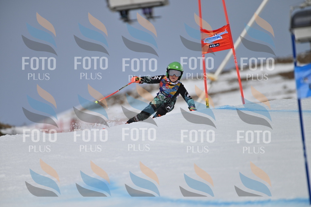 BGV_5230 | holidayphoto