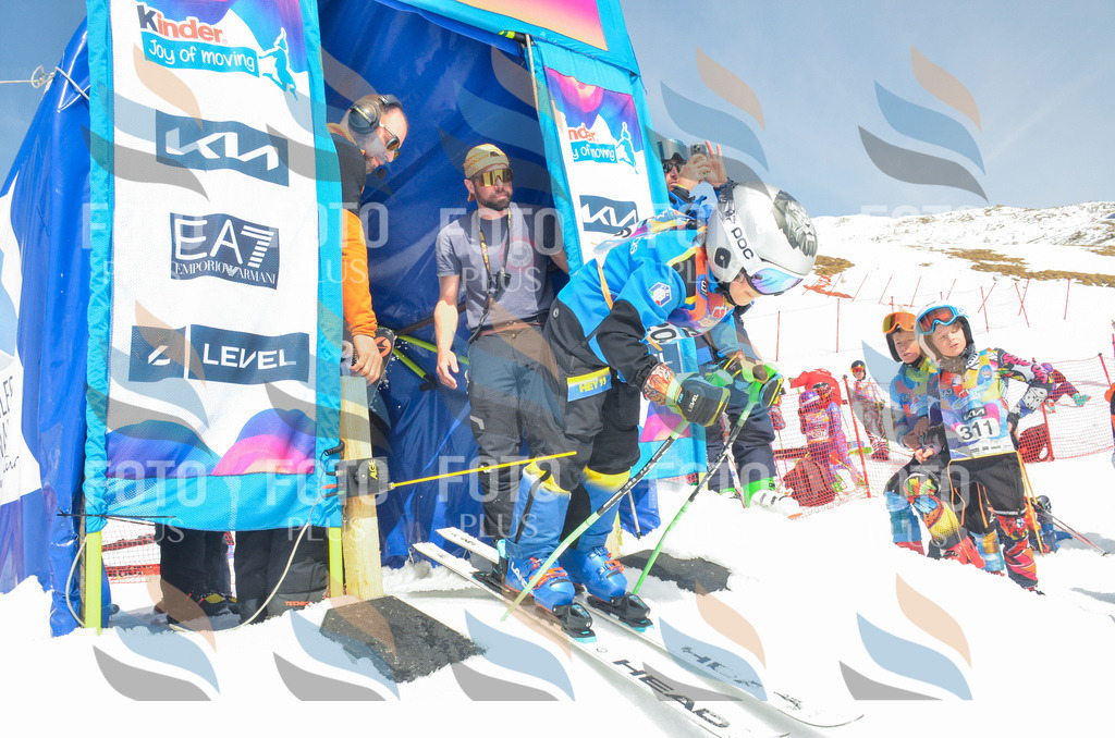 _ELE6992 | holidayphoto