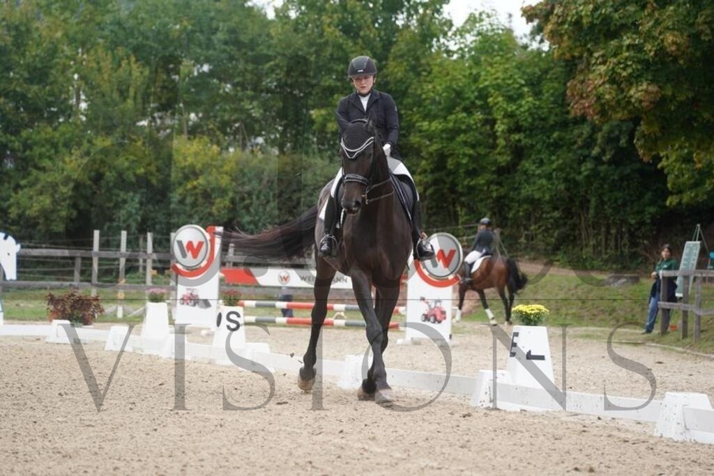 rveinoedsamstag (1635) | d.tail Visions - Shop - Realisiert mit Pictrs.com