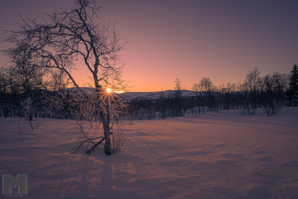 Skarven und Bruksvallarna bei untergehender Sonne | Landschafts- und Tierfotografie zu allen Jahreszeiten. Und immer die Schönheit des Lichtes im Auge... - Realisiert mit Pictrs.com
