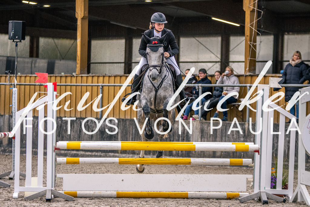 IMG_4777 | Erleben Sie dynamische Sport- und emotionale Tierfotografie in Süddeutschland mit Fotos von Paula. Spezialisiert auf Pferde- und Hundefotografie sowie Sportevents. Kontaktieren Sie mich für einzigartige und ausdrucksstarke Bilder Ihrer besonderen Momente. - Realisiert mit Pictrs.com
