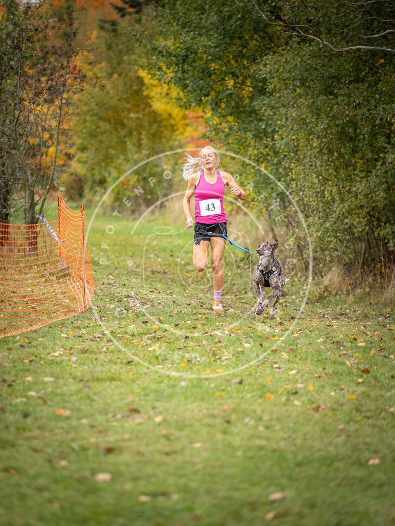 Pfotenfotografie_DV3A2342 | Hundefotografie, Tierfotograf, Pfotenfotografie, Fotoshooting Hund, Hunde Portrait, Hundesport, Hundeportraits, Heideshooting, Hunde, Sportfotograf, Hundefotograf, Turnierhundsport, THS,  - Realisiert mit Pictrs.com