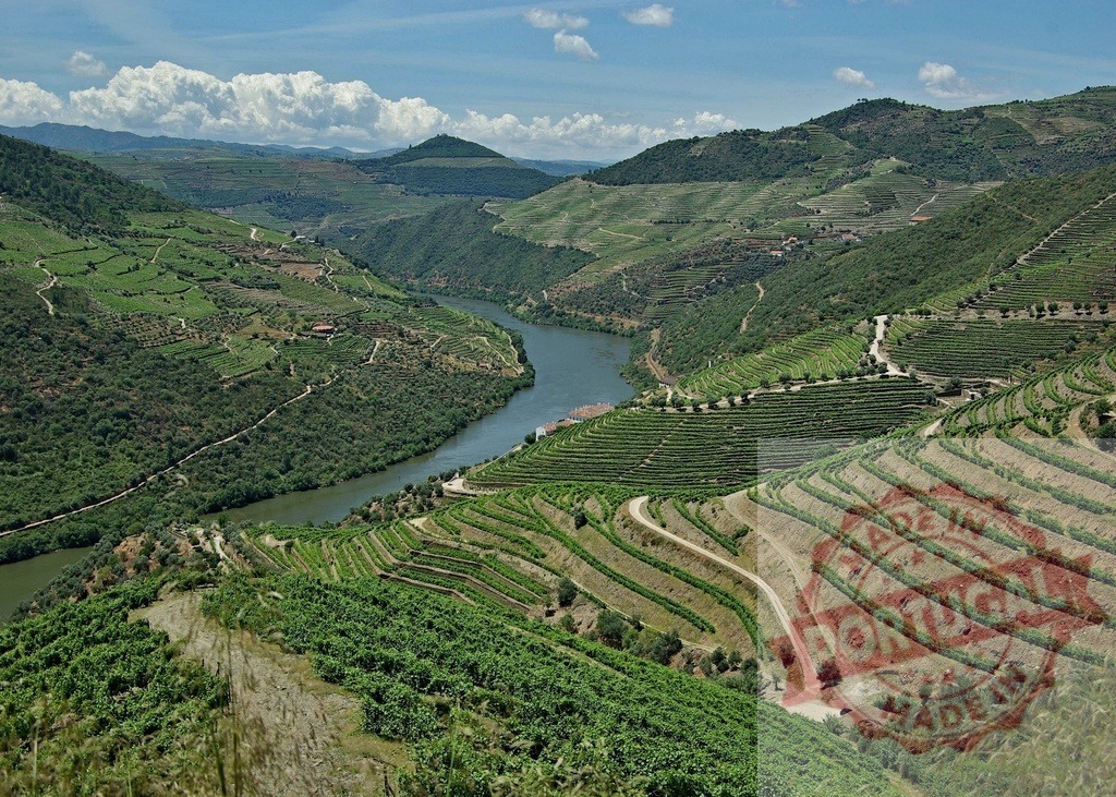 Douro Valley landscape with terraced vineyards along Douro river | Douro river flowing through terraced vineyards and rolling hills on a sunny day - Realized with Pictrs.com