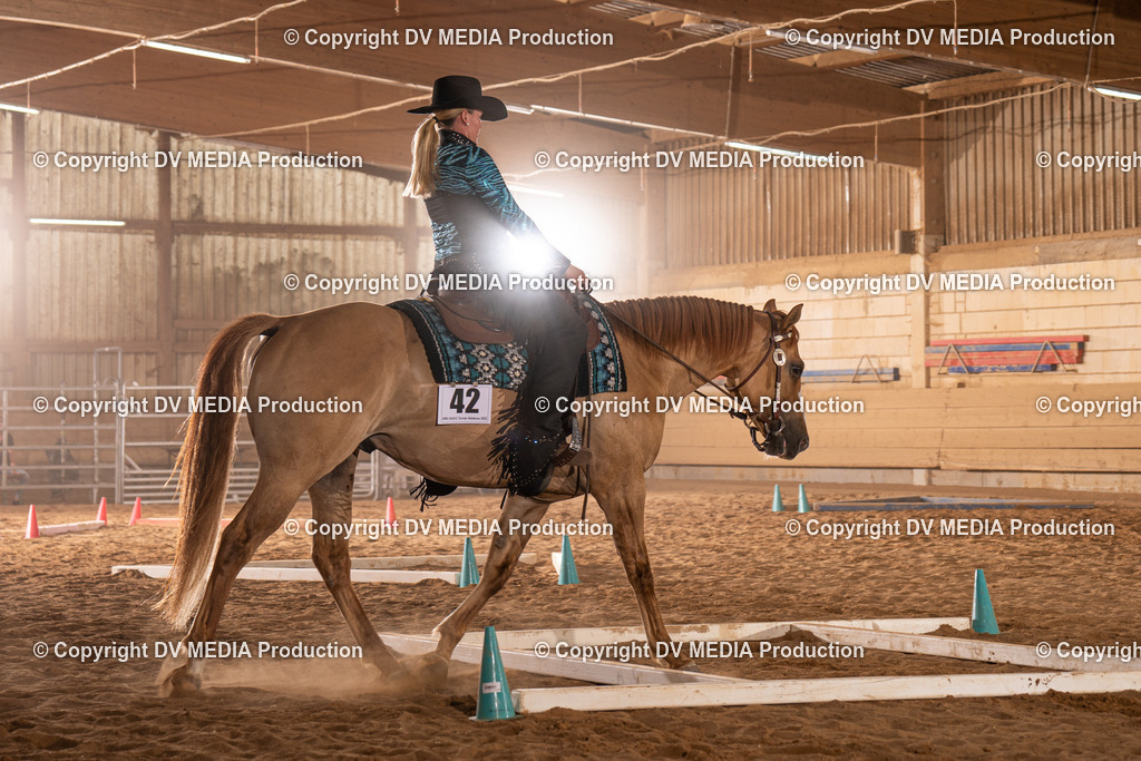 NID00851 | dv-media-shop - Realisiert mit Pictrs.com