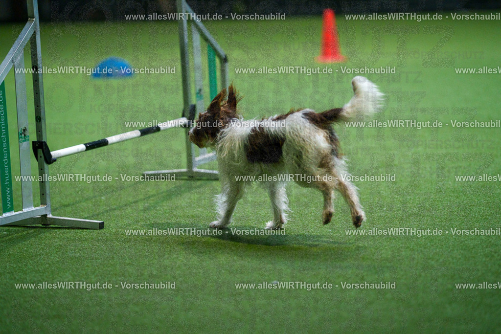 7R502256 | Professionelle Tierfotografie in Mönchengladbach von Daniel Wirth (allesWIRTHgut). Liebevolle & natürliche Bilder von Hunden & Katzen für unvergessliche Erinnerungen.