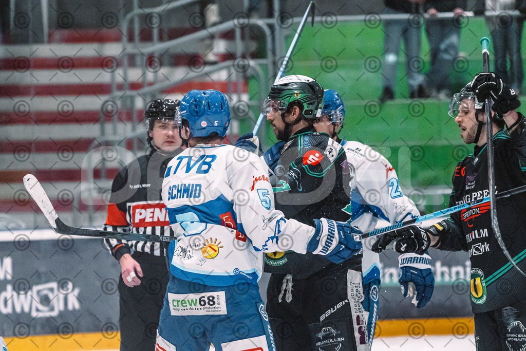Alligators_vs_Riessersee_03_02_2026-28 | Höchstadt Alligators Fotogalerie: Eishockey-Action aus Franken. Professionelle Spielfotos, Portraits & Stadionbilder zum Download. Jetzt entdecken! - Realisiert mit Pictrs.com