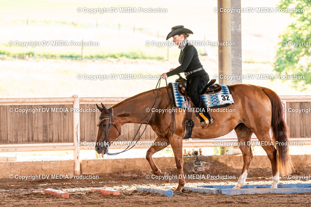 Erbach Tag 2-68 | dv-media-shop - Realisiert mit Pictrs.com