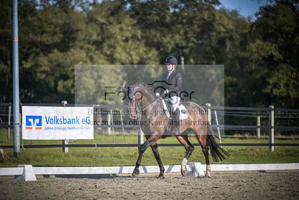 DOS_4655 | Entdecke hochwertige Reitturnierfotos von Foto Oger. Professionell, emotional und authentisch – jetzt Lieblingsmomente im Shop bestellen.Deutschlandweite Turnierfotografie. - Realisiert mit Pictrs.com