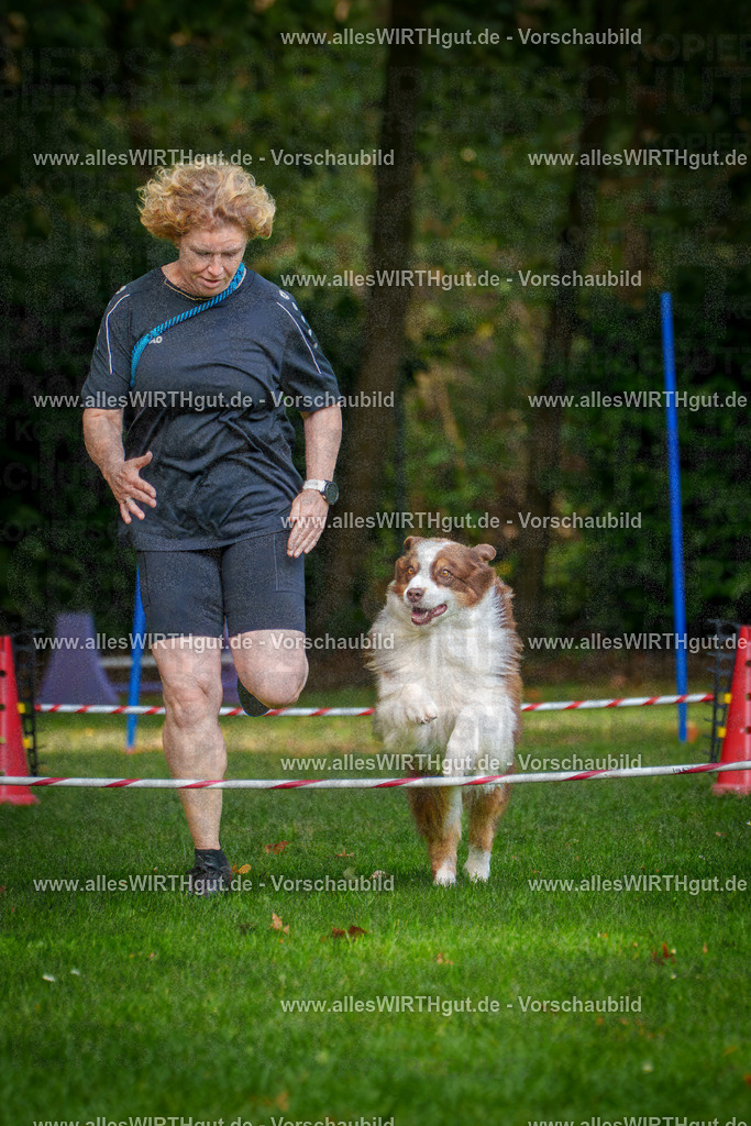 THS_Turnier_27-09-2026-allesWIRTHgut_Tierfotografie-7R506896 | Professionelle Tierfotografie in Mönchengladbach von Daniel Wirth (allesWIRTHgut). Liebevolle & natürliche Bilder von Hunden & Katzen für unvergessliche Erinnerungen.