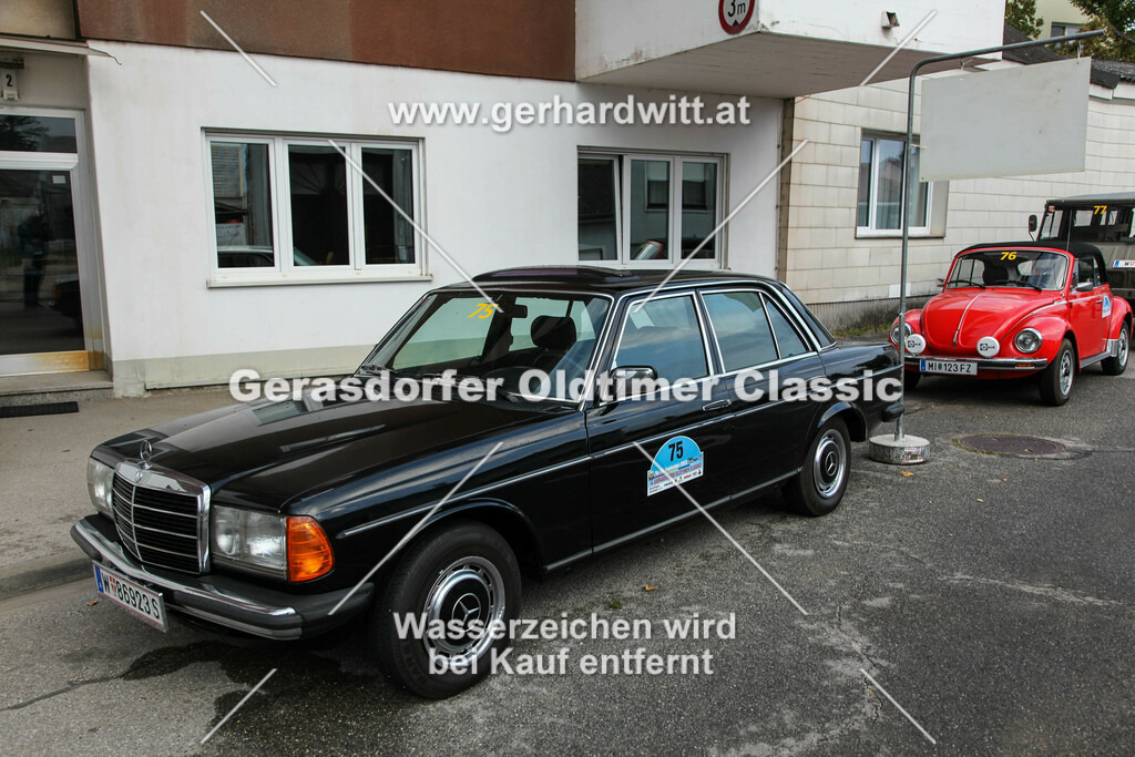 IMG_4470 | Gerhard Witt