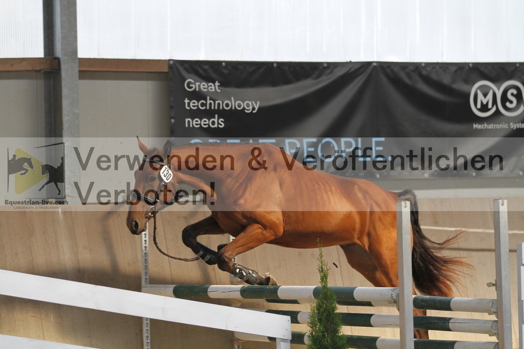 _MG_0710 | equestrian-live-com