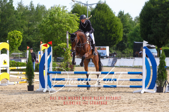 DKP41214 | Turniersportfotografie; Pferdefotografie; Dressurfotografie