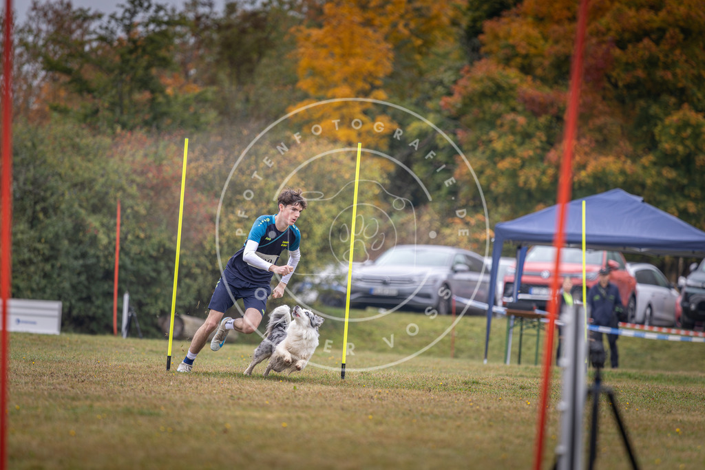 Pfotenfotografie_DV3A1212 | Hundefotografie, Tierfotograf, Pfotenfotografie, Fotoshooting Hund, Hunde Portrait, Hundesport, Hundeportraits, Heideshooting, Hunde, Sportfotograf, Hundefotograf, Turnierhundsport, THS,  - Realisiert mit Pictrs.com