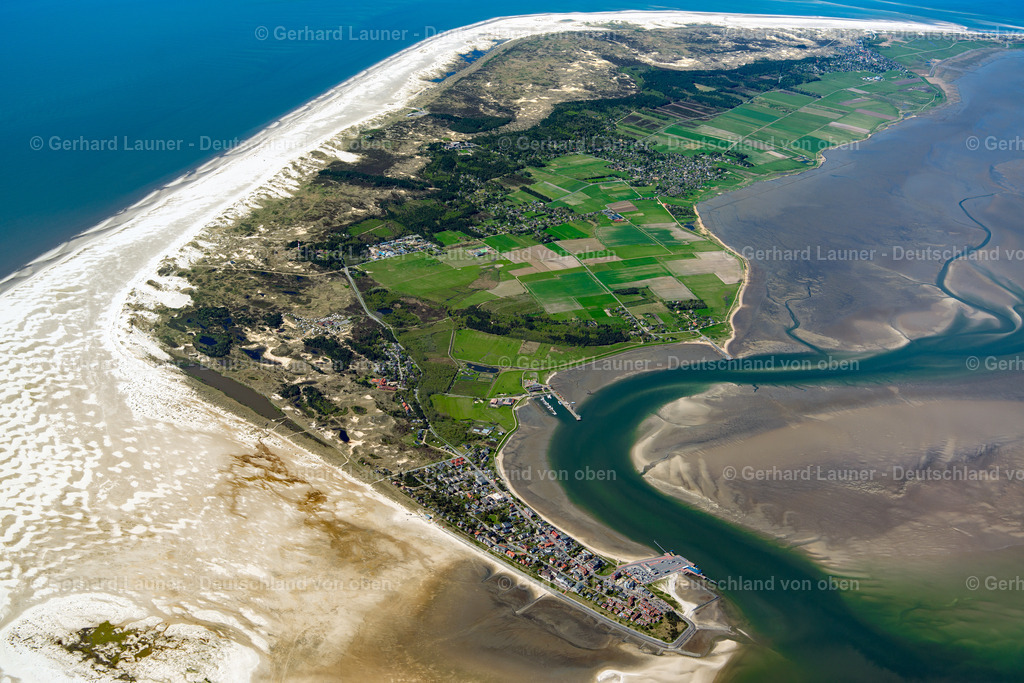 3801696 | Amrum, Nationalpark Schleswig-Holsteinisches Wattenmeer