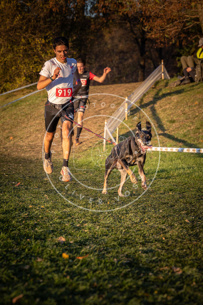 CaniXpix_0L8A1557 | Hundefotografie, Tierfotograf, Pfotenfotografie, Fotoshooting Hund, Hunde Portrait, Hundesport, Hundeportraits, Heideshooting, Hunde, Sportfotograf, Hundefotograf, Turnierhundsport, THS,  - Realisiert mit Pictrs.com