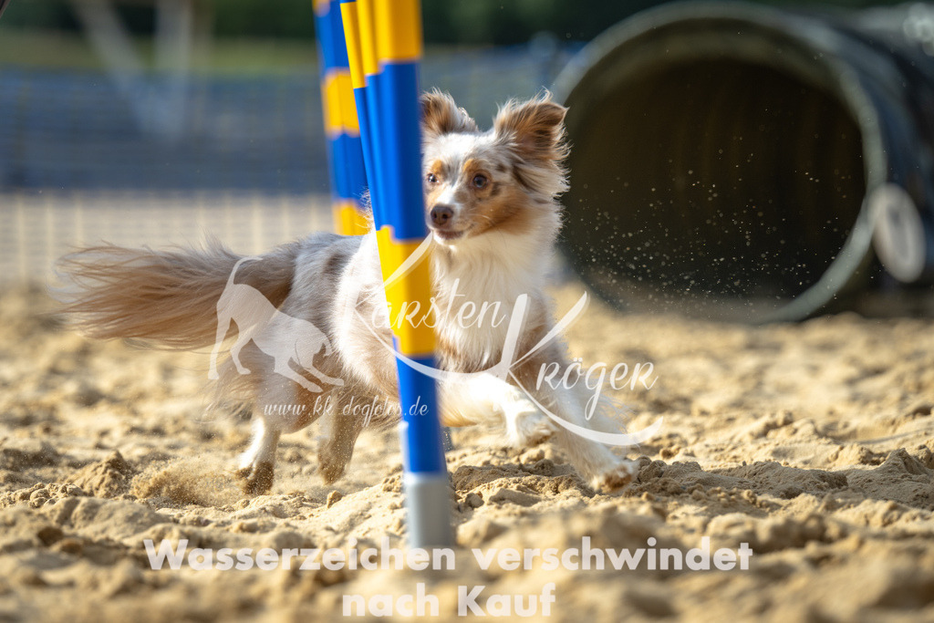 1557_ZZ92576 | kk-dogfotos