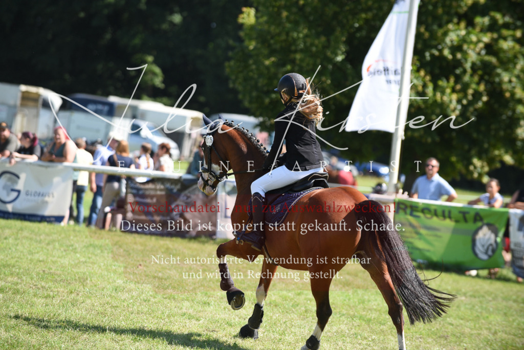 DSC_9601 | Pferde- und Turnierfotografie in Westsachsen. Pferdeportraits, Auftragszeichnungen und intuitive Kunst.