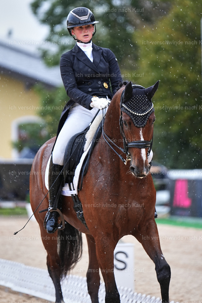 07-048-DRESSUR  S___  -Marixx-5113 | working equitationturnier fotograf videograf stoibphotography marixx film working equitation deutschland reitsport turnierfotografie eventfotografie equestrian events