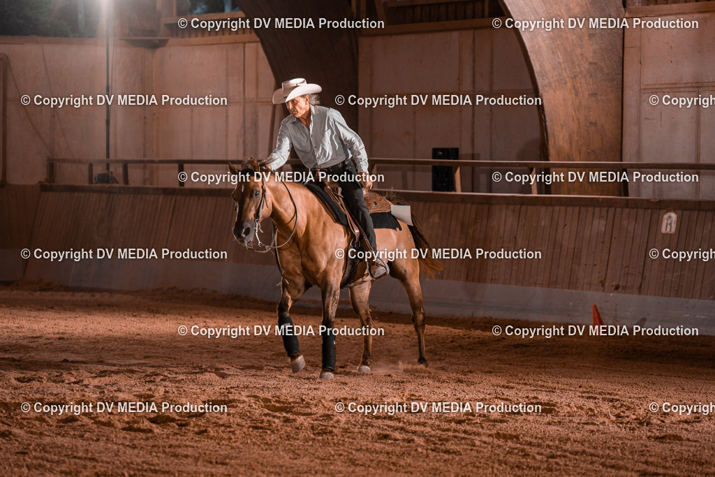 NE201479 | dv-media-shop - Realisiert mit Pictrs.com