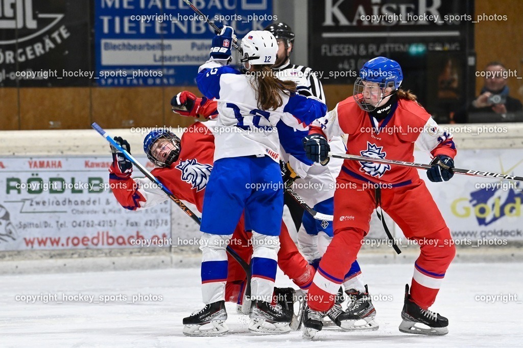 BST_5868 | hockey sports photos, Pressefotos, Sportfotos, hockey247, win 2day icehockeyleague, Handball Austria, Floorball Austria, ÖVV, Kärntner Eishockeyverband, KEHV, KFV, Kärntner Fussballverband, Österreichischer Volleyballverband, Alps Hockey League, ÖFB, 
