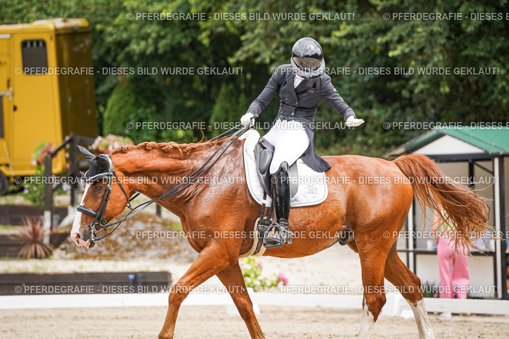 DSC05815 | Pferdegrafie