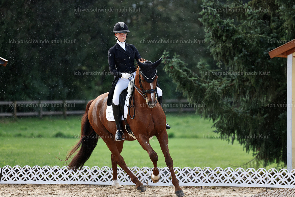 10-061-ST.GEORG SPECIAL -StoibPH-3156 | working equitationturnier fotograf videograf stoibphotography marixx film working equitation deutschland reitsport turnierfotografie eventfotografie equestrian events