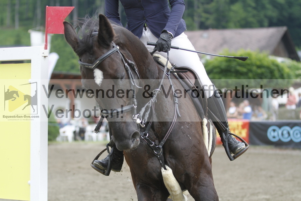 _MG_2994 | equestrian-live-com