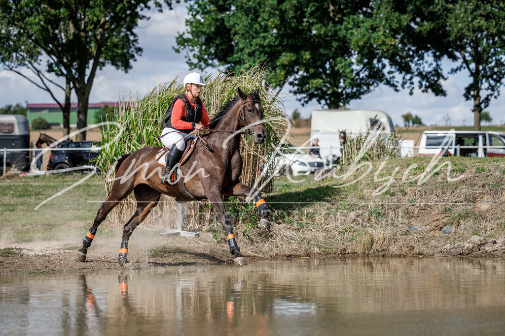 20260905-_3LI9715 | Tierfotografie Pferde, Hunde, Katzen, Haustiere.
Turnierfotografie Reitturniere, Reiten, Springreiten, Dressur in Hanau, dem Main-Kinzig-Kreis und dem Rhein-Main- Gebiet um Frankfurt