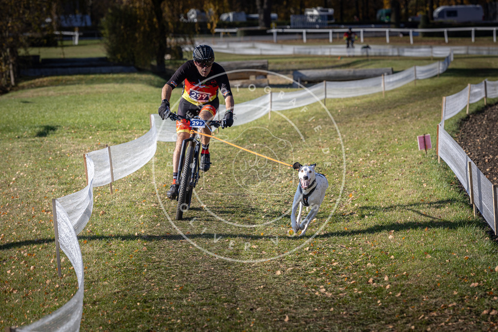 CaniXpix_DV3A6026 | Hundefotografie, Tierfotograf, Pfotenfotografie, Fotoshooting Hund, Hunde Portrait, Hundesport, Hundeportraits, Heideshooting, Hunde, Sportfotograf, Hundefotograf, Turnierhundsport, THS,  - Realisiert mit Pictrs.com