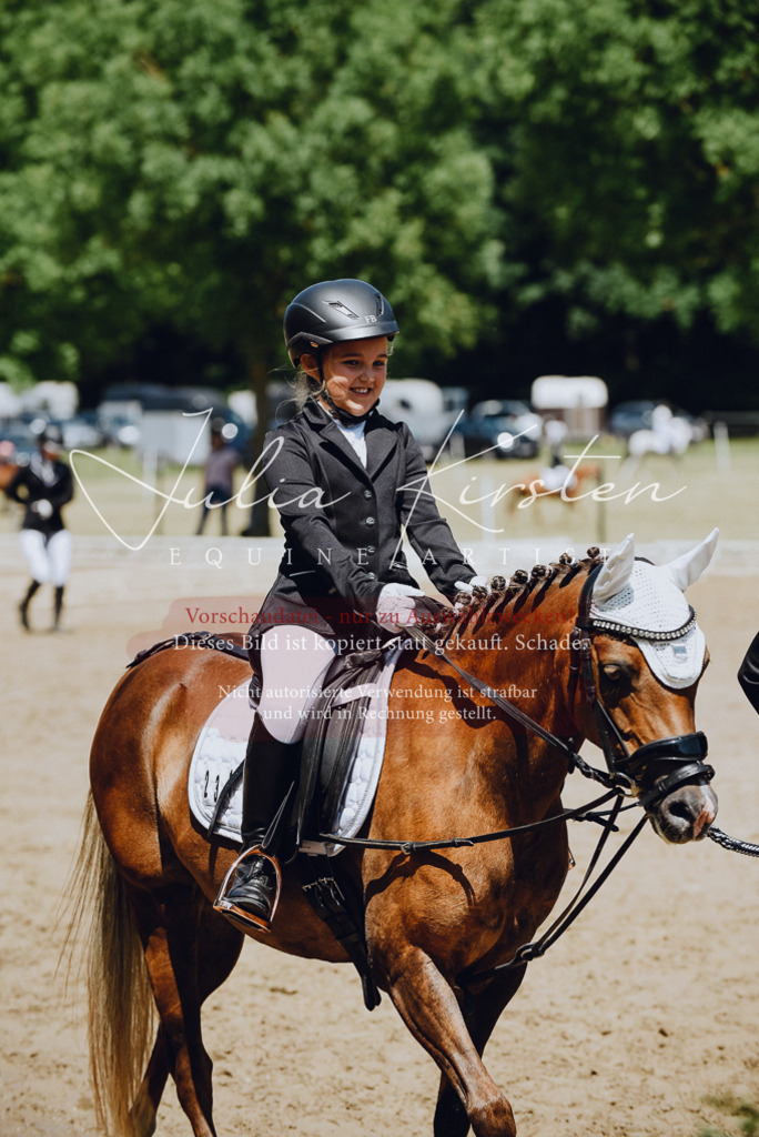 DSC_2412 | Pferde- und Turnierfotografie in Westsachsen. Pferdeportraits, Auftragszeichnungen und intuitive Kunst.
