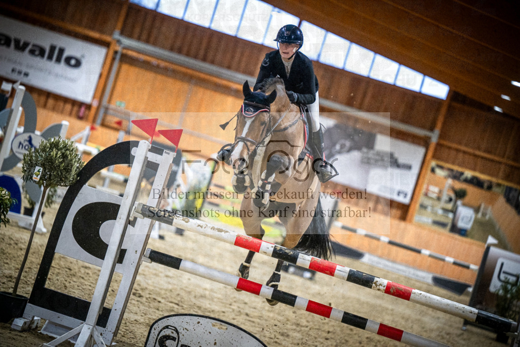 DOS_2537 | Entdecke hochwertige Reitturnierfotos von Foto Oger. Professionell, emotional und authentisch – jetzt Lieblingsmomente im Shop bestellen.Deutschlandweite Turnierfotografie. - Realisiert mit Pictrs.com