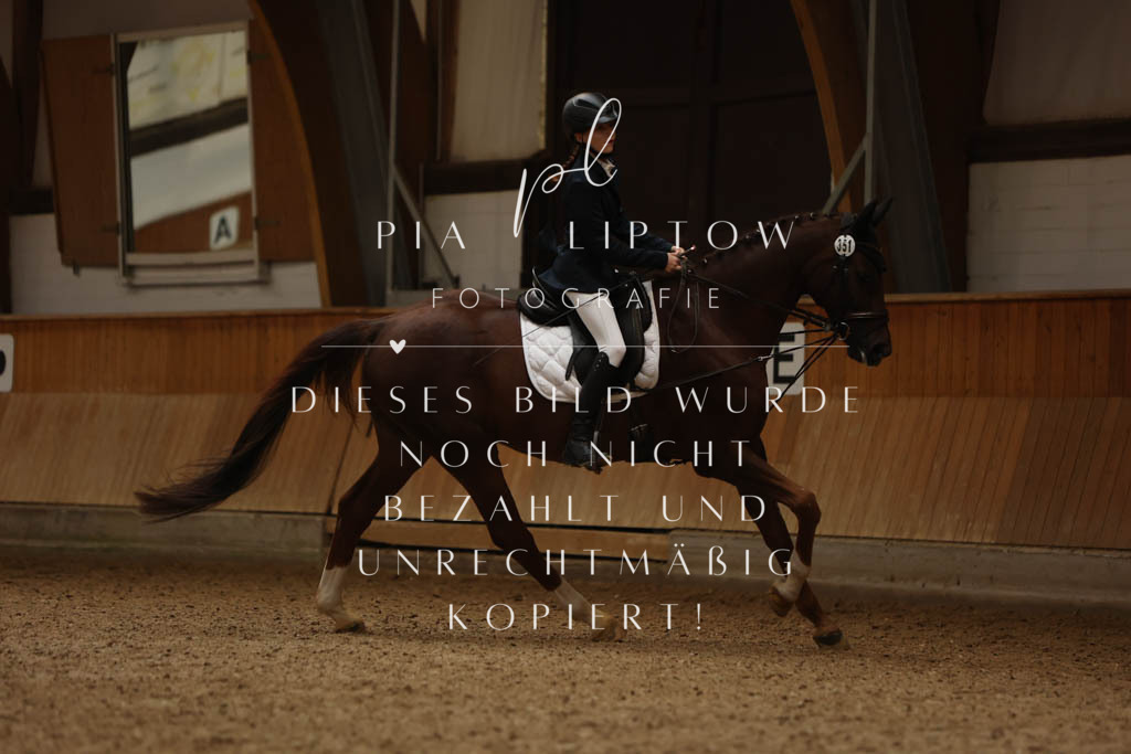 IMGM8423 | pl-fotografie