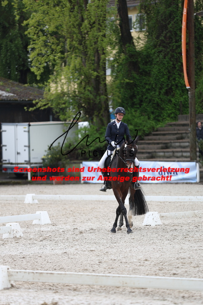 A40A9108 | lmwpictures - Realisiert mit Pictrs.com