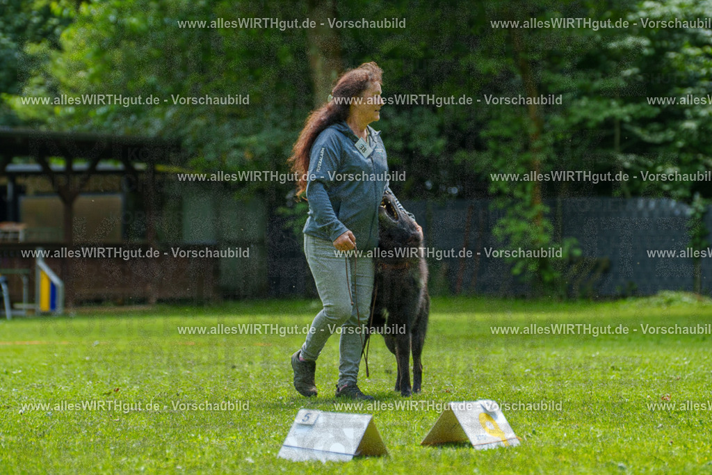 @allesWIRTHgut_Tierfotografie - www.allesWIRTHgut.de - 7R504730 | Professionelle Tierfotografie in Mönchengladbach von Daniel Wirth (allesWIRTHgut). Liebevolle & natürliche Bilder von Hunden & Katzen für unvergessliche Erinnerungen.