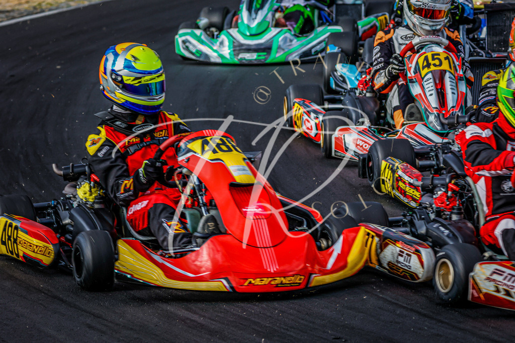 8CB98DAD-7E76-4AB5-9518-1B51BAB0AC36 | traudl_s_fotos