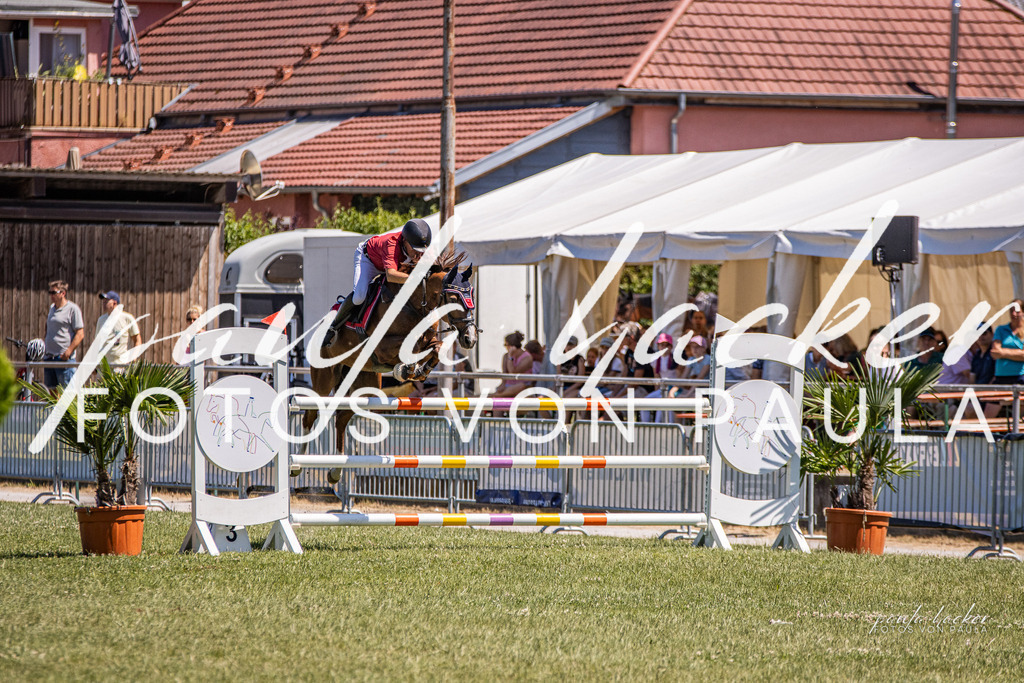 IMG_0547 | Erleben Sie dynamische Sport- und emotionale Tierfotografie in Süddeutschland mit Fotos von Paula. Spezialisiert auf Pferde- und Hundefotografie sowie Sportevents. Kontaktieren Sie mich für einzigartige und ausdrucksstarke Bilder Ihrer besonderen Momente. - Realisiert mit Pictrs.com