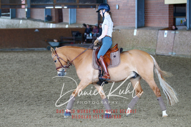 DKP42913 | Turniersportfotografie; Pferdefotografie; Dressurfotografie