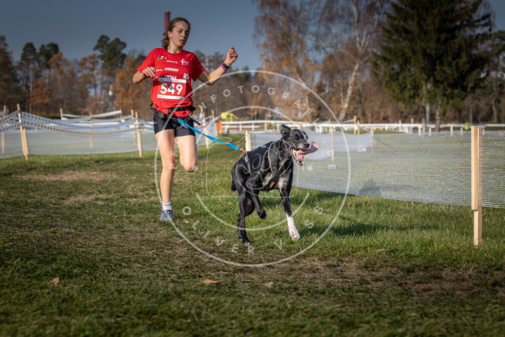 CaniXpix_0L8A9064 | Hundefotografie, Tierfotograf, Pfotenfotografie, Fotoshooting Hund, Hunde Portrait, Hundesport, Hundeportraits, Heideshooting, Hunde, Sportfotograf, Hundefotograf, Turnierhundsport, THS,  - Realisiert mit Pictrs.com