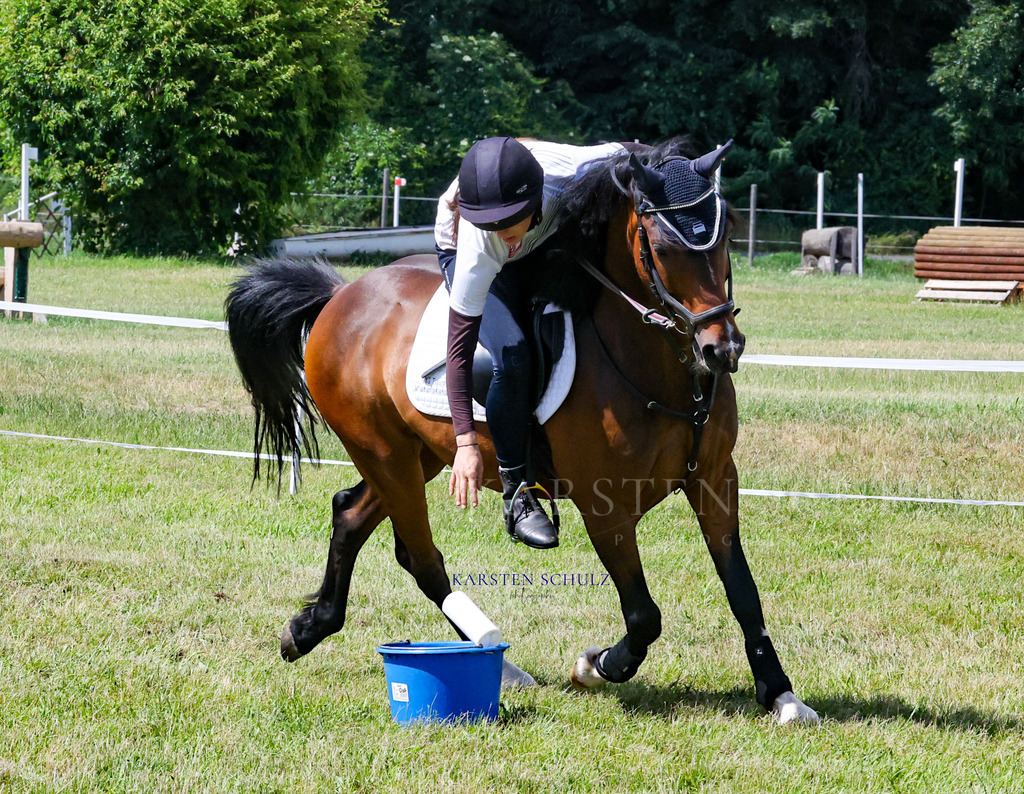 1B3A4275 | Reitsport Reiten