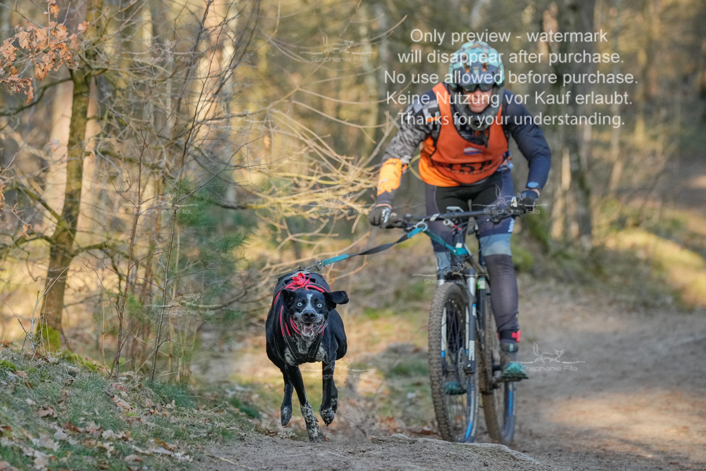 Sa_Bike-486 | stephaniefillaphotographie - Realisiert mit Pictrs.com