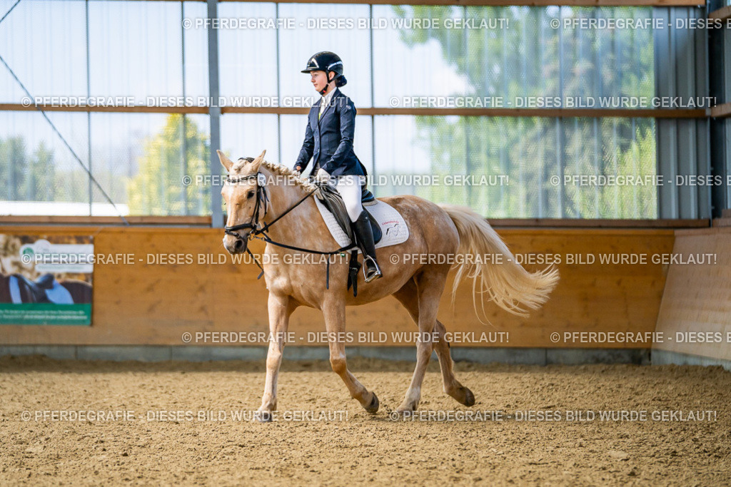 DSC03639 | Pferdegrafie