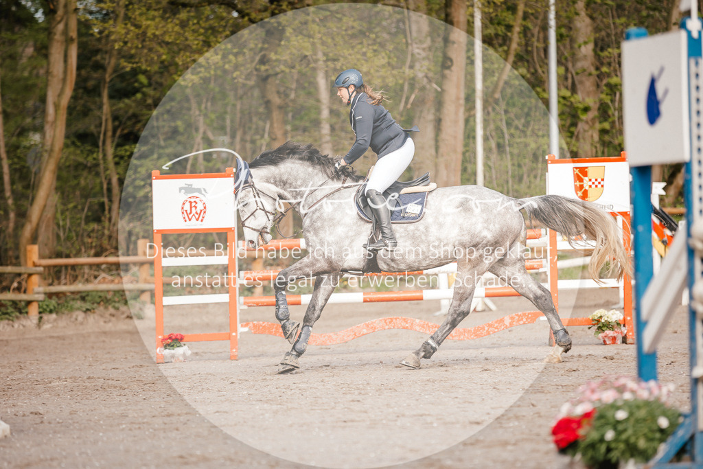 3I6A3433 | Stimmungsvolle Portraits und Reitsportfotografie im Ruhrgebiet und im Münsterland.

Pferdefotografie, Hundefotografie, Tierfotografie, Reportagen, Portraits von Tier und Mensch, Turnierfotografie in Bochum, Recklinghausen, Marl, Haltern am See, Dülmen.. - Realisiert mit Pictrs.com