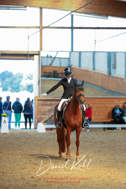 _62_7023 | Turniersportfotografie; Pferdefotografie; Dressurfotografie