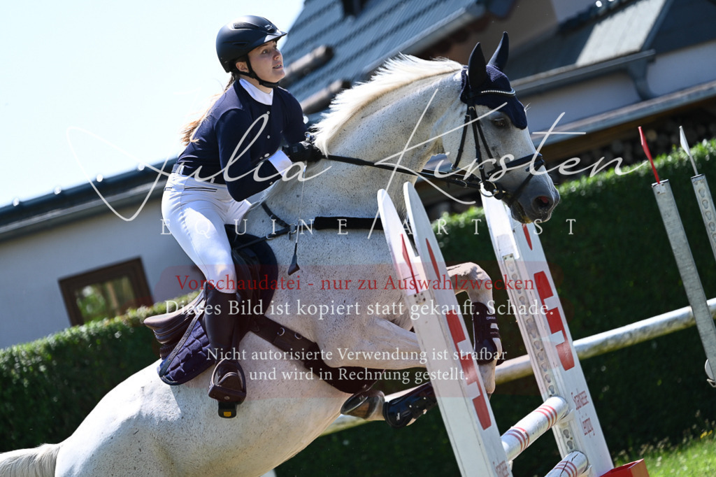 DSC_0582 | Pferde- und Turnierfotografie in Westsachsen. Pferdeportraits, Auftragszeichnungen und intuitive Kunst.