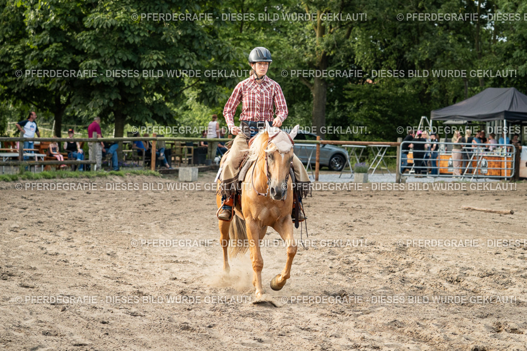 DSC06100 | Pferdegrafie